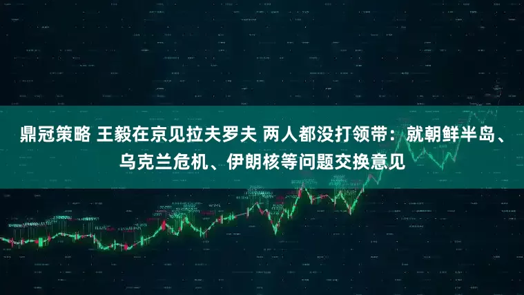 鼎冠策略 王毅在京见拉夫罗夫 两人都没打领带：就朝鲜半岛、乌克兰危机、伊朗核等问题交换意见